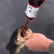 Codskiy