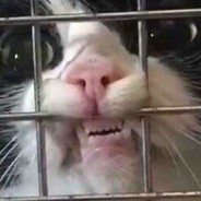 Спасибо за Кенши