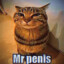 Mr.Penis