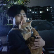 自此再无入心人