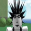 RR