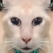 玩家头像