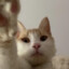 Adolf Kittler