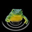 Steam avatar