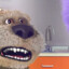 BEN_YES