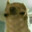 fattyboy72008 avatar