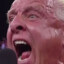 WOOOOOOO