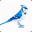 Scrubjay