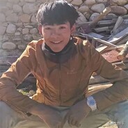 y翻斗花园雪豹丁真