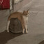 broken sword mentality.
