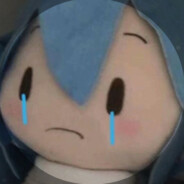 屑白给mua（NiKo版）