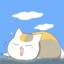 阳光miss