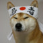 Ninja Doge