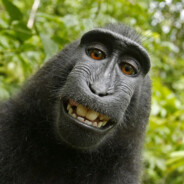 creisin do tecnobrega