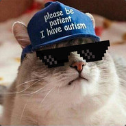 Незбагойный_кот
