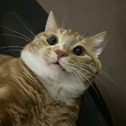 AAA水果批发秦总