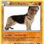 Perro Sanchez