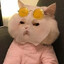 ЧикенМайклНагетс's avatar