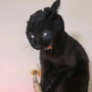 Vasile sarut de Vypera