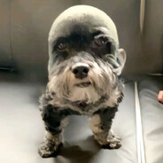 The World avatar