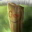 Mr.Plank