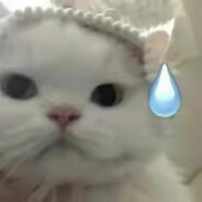 我想变成操场，这样就能设在你的小学里面