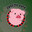 O!NK | RuDi  skins.army