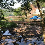 981川S、良辰【支队】