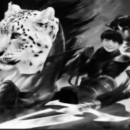 理塘丁真爱锐克