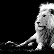 LION - steam id 76561198030773036