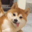 梦里