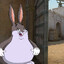CHUNGUS