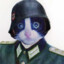 Gato Militar