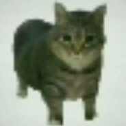 raz我操你妈180买狗屎