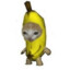 cat, but banana