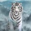 Whitetiger0718