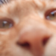 究极无敌昆特牌大王