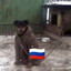 ГЕМОРОЙ ИВАНОВИЧ