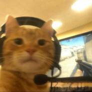 Marrakesh-shotgun enjoyer