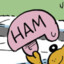 Ham Helmet