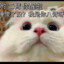 我是斌哥哥