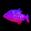 Violet Piranha