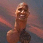 DWAYE ,,THE COCK" JOHNSON