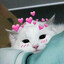 vire's avatar