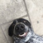 bob