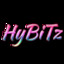 HyBiTz