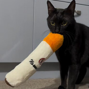 tacocaT