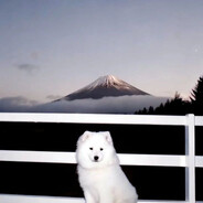 ЛИПТОН ЧИПСИКИ =)