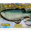 big mouth billy bass