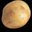 Loyal_Potato